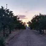 度假居 I Trulli Di Mani'