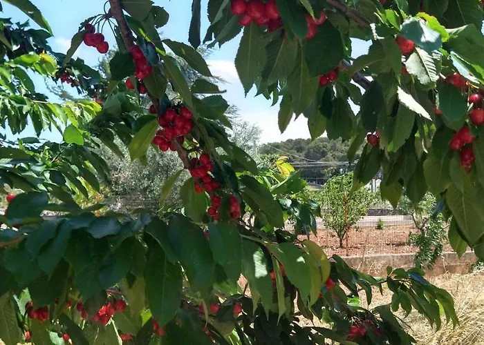 I Trulli Di Mani' Martina Franca